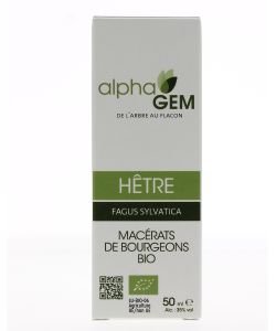 Hêtre (Gafus sylvatica) bourgeon unitaire BIO, 50 ml